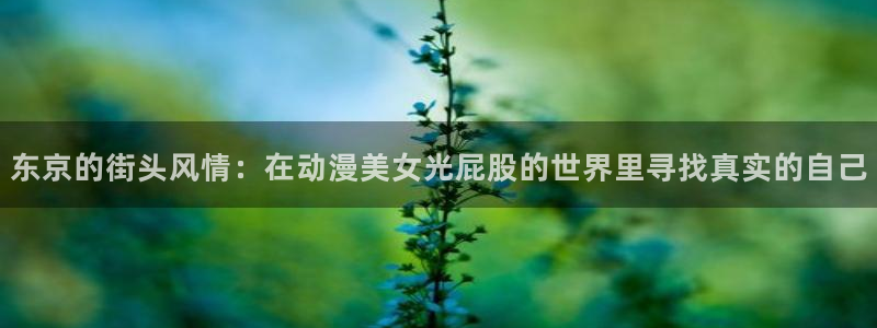 樱花动漫在线观看视频