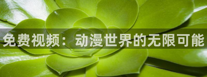 《新版高家园》樱花动漫