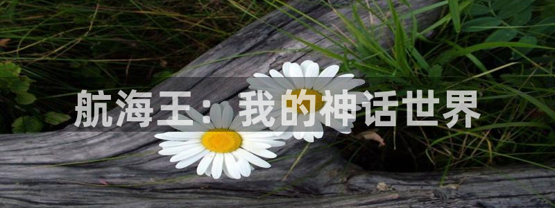 樱花动漫正版下载官网