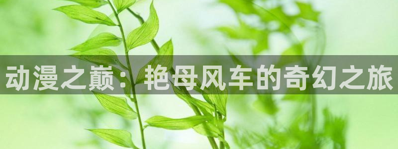 内衣办公室樱花动漫免费观看全集