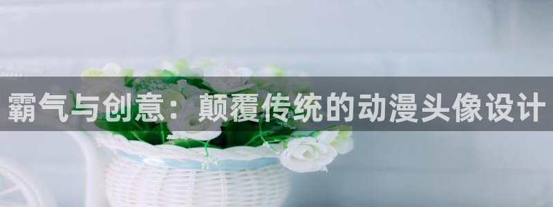 神奇宝贝剑盾动画片樱花动漫免费观看