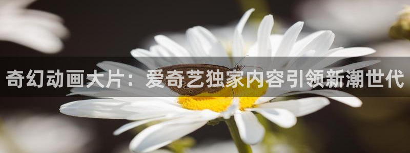 天降女子樱花动漫全集