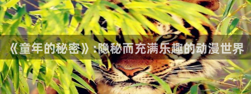 拜托了老师樱花动漫