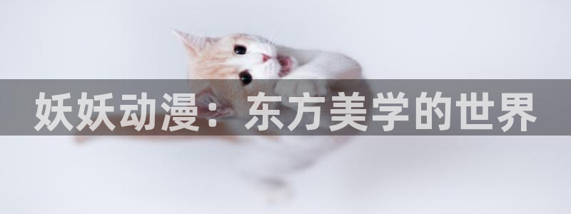 樱花动漫观看免费高清