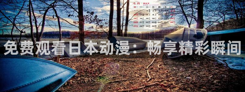 樱花动漫官网入口网页版：免费观看日本动漫：畅享精彩瞬间