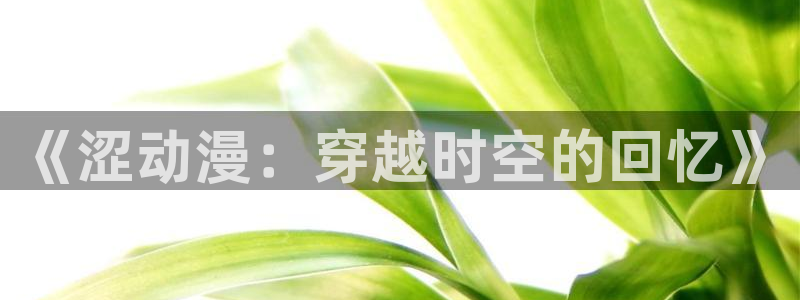 纯洁轮舞曲樱花动漫：《涩动漫：穿越时空的回忆》