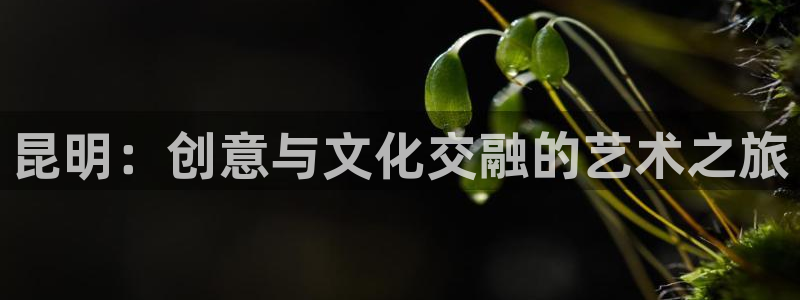 巴克·亚罗樱花动漫