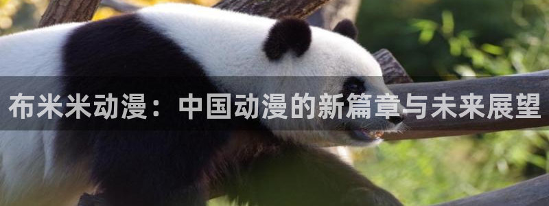 樱花动漫imomoe入口