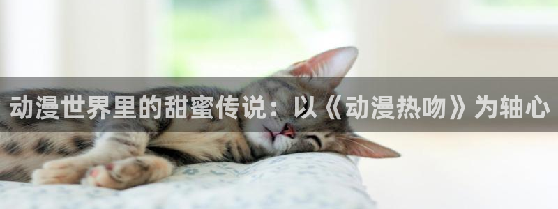 overfolw樱花动漫