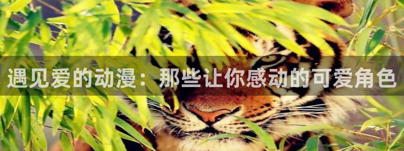 元龙动漫在线观看樱花动漫