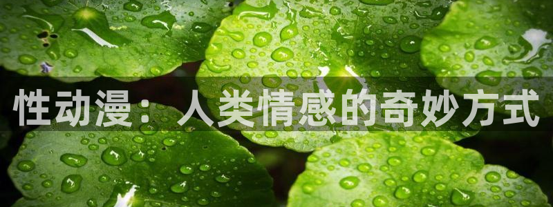 在线下载樱花动漫