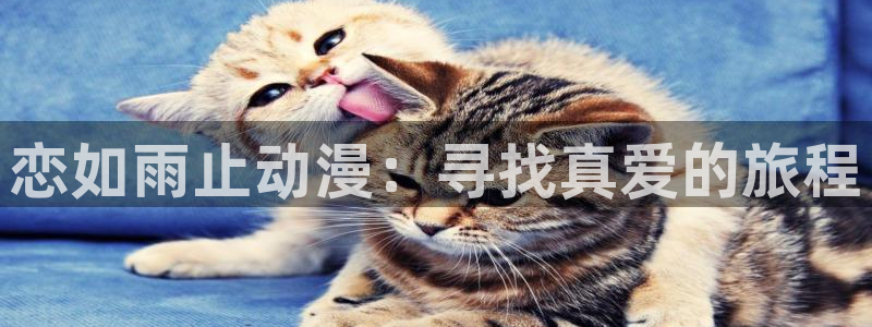 秋霞电影樱花动漫