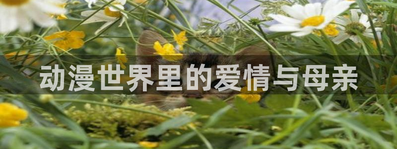 奇诺之旅樱花动漫在线观看