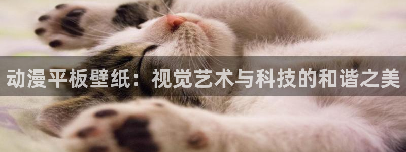 樱花动漫2024实时更新动漫