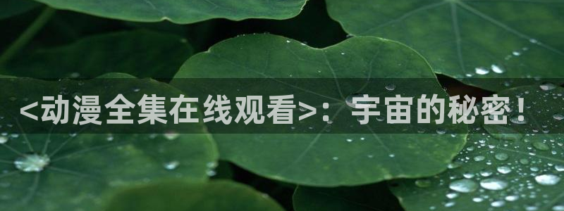 镜双城樱花动漫