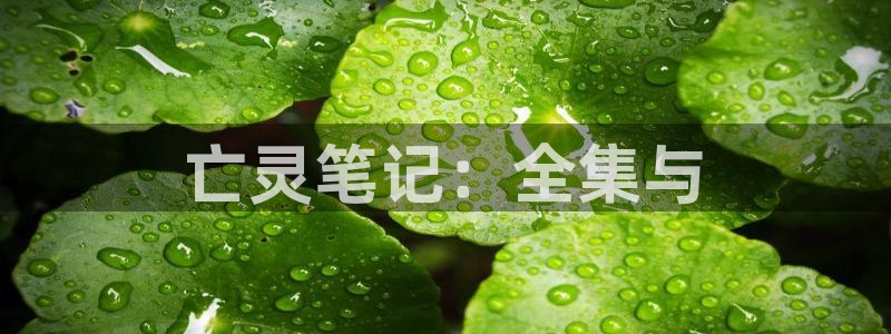 诗片樱花动漫：亡灵笔记：全集与