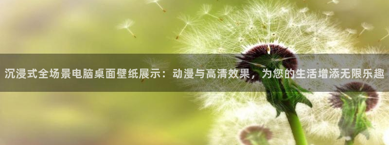 战国basara樱花动漫：沉浸式全场景电脑桌面壁纸展示：动漫与高清效果，为您的生活增添无限乐趣