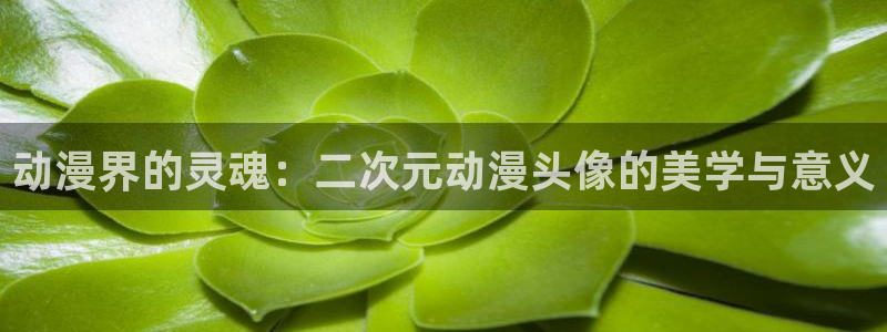 樱花动漫immone官网入口樱花动漫
