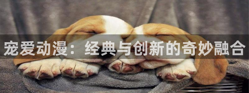 樱花动漫歌曲